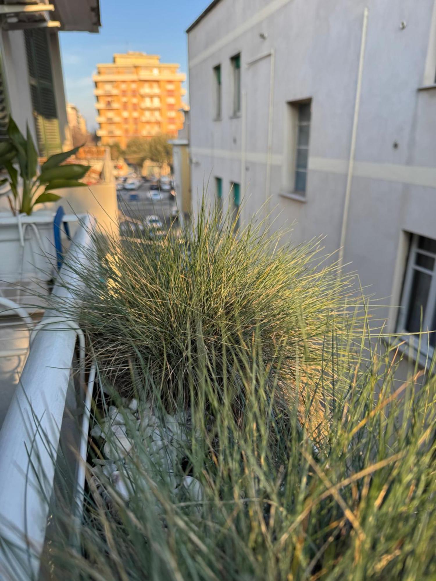 Okra Apartment Pescara Centro Exterior foto